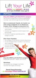 flyer_brugdineoerer
